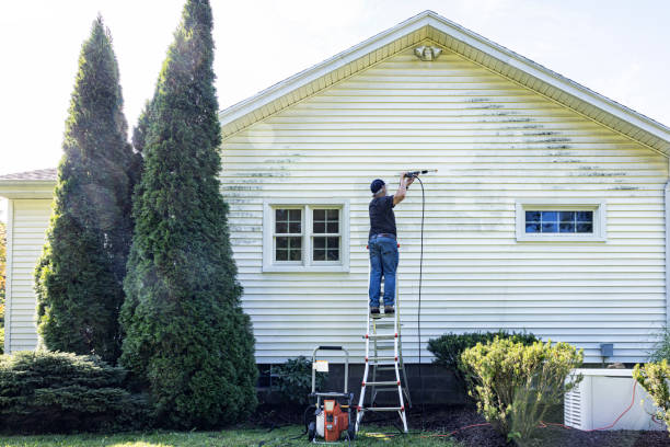 Best Driveway Pressure Washing  in Brigham City, UT